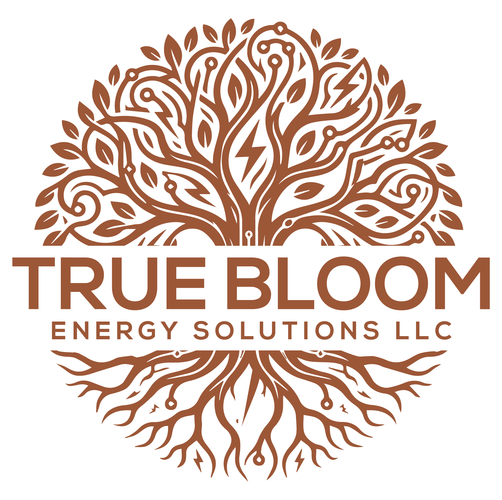 True Bloom Energy Solutions